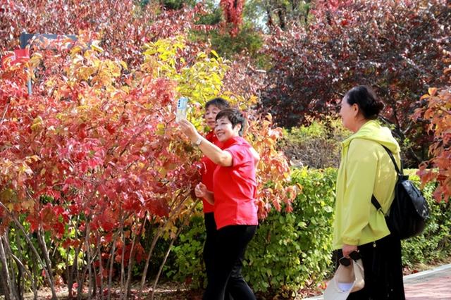【组图】国庆赏秋正当时 佳木斯双拥公园“花式”迎游人
