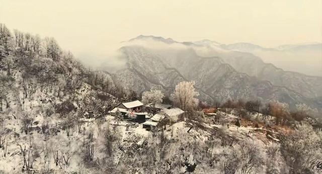 2025周至雪落！秦岭福地藏着水墨般的冬日浪漫～
