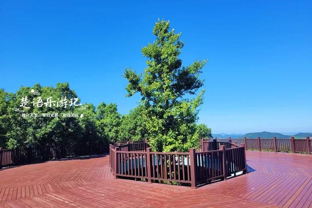 浙江宁波的历史文化名村，有第一高山村之誉，是看星空及露营胜地