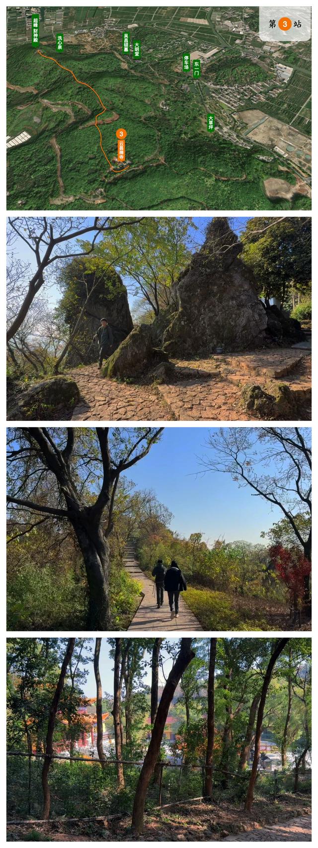 杭州小而美徒步路线：斑斓而沉默的超山，人少景美