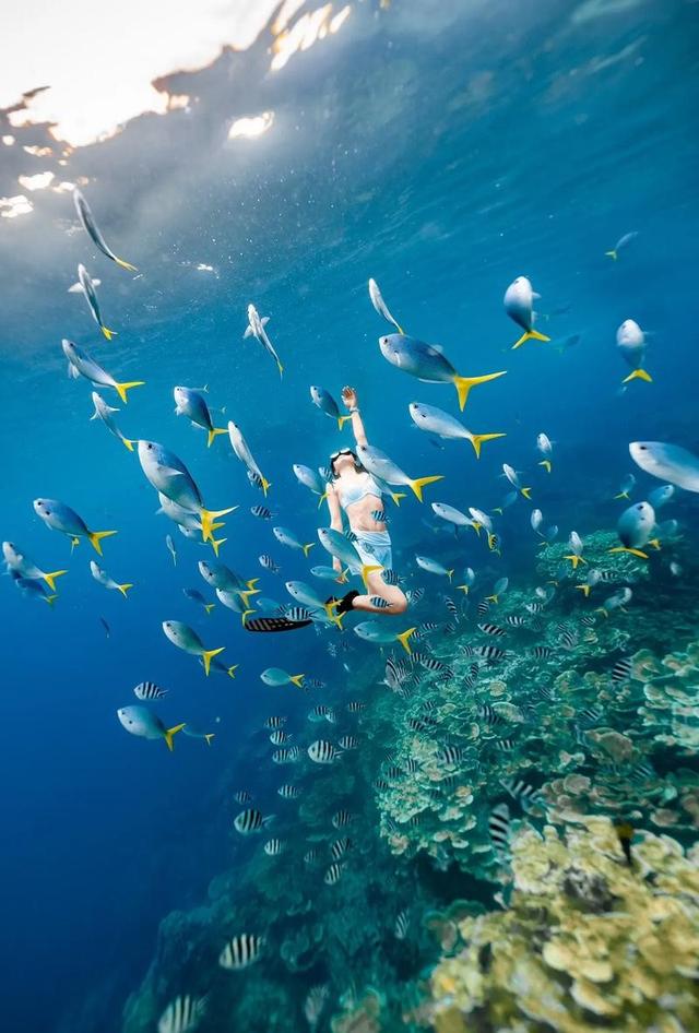 抱紧美日大腿，停飞中国航班、拒绝中国游客的小国，如今怎样了？