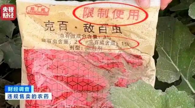 湖北毒白菜曝光！虫子都不敢吃，人却抢着买？真相太扎心