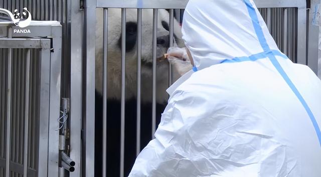 马克龙宣布访华时间，人还没到，就发出两个请求，希望中方能同意