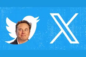 X（Twitter）：一款耳熟能详的海外社媒平台，真的了解吗？图片