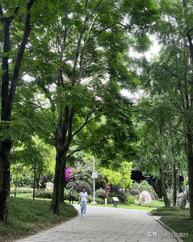 成都市内乘凉公园，风景秀美、清凉，不要门票，地铁公交可达！