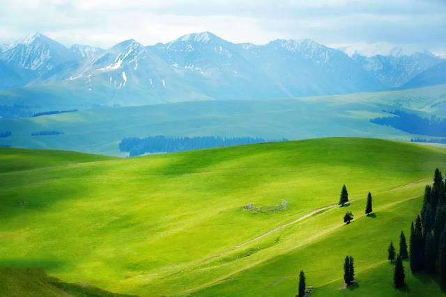 草原花海，塞外江南——超全新疆伊犁旅游攻略