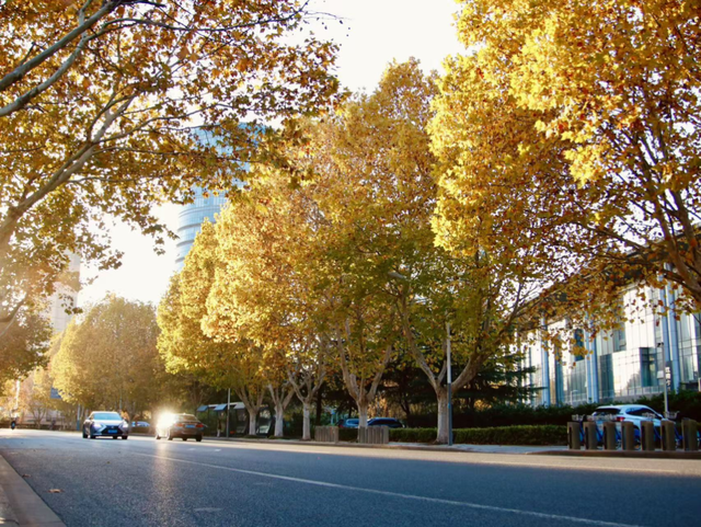 超出片！江阴这些地方“红了”！