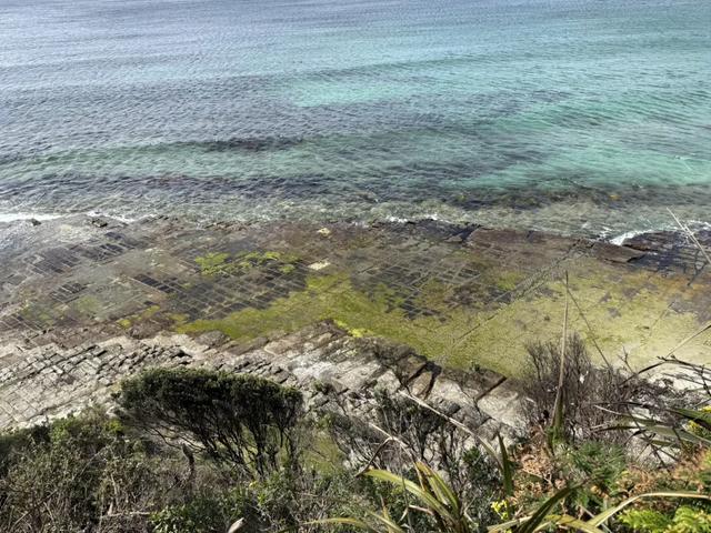 澳大利亚22日世界文化遗产与自然之旅游记