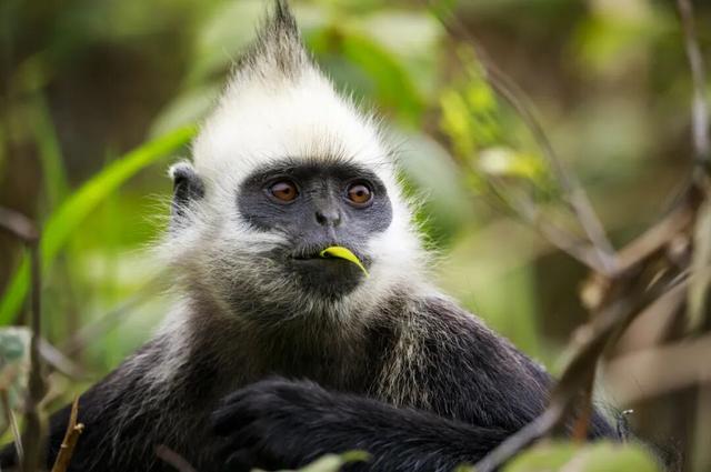 最适合冬游的宝藏边陲小城，来过一次就彻底爱上