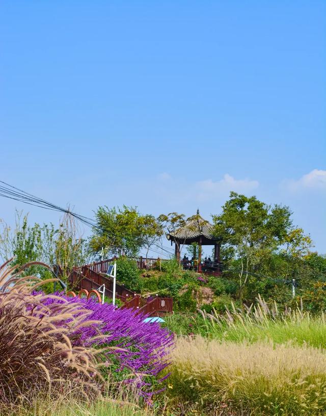 成都10个周末一日游宝地,没有门票~徒步露营溜娃都巴适!