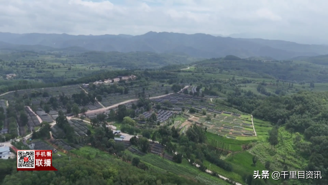夏县泗交镇：茶香雅韵邂逅草坪音乐节