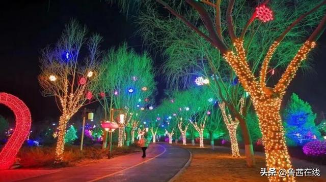 持续18天！聊城沙滩浴场首届惠民梦幻灯光展2月15日启幕