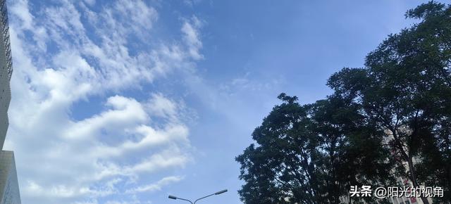 从没有辜负阳光的照耀