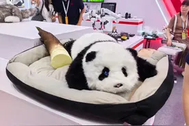 太神了！在这场大会，不但能上手“撸”大熊猫，还能面对面和苏轼聊天图片