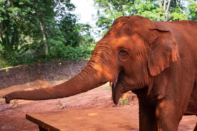 海口旅游，推荐海口10个必打卡的景点，治愈系的海滨城市，超好玩