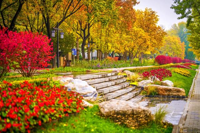 全龄友好,四季皆景!皇城根遗址公园焕新升级,超多美图→