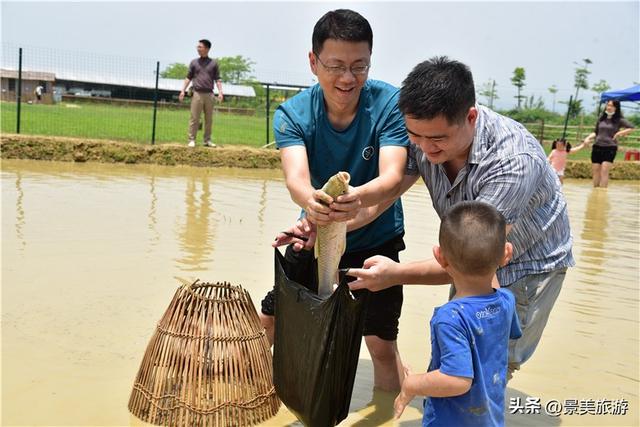 五一假期去哪儿？佛山紫南首届农耕文化节邀您共赴田园之约
