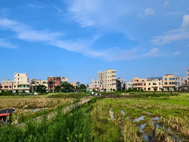 藏在海口秀英的太极村，400年历史古村落，一年四季有不同的美
