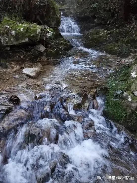 泰顺二日行,解锁浙南山水里的诗意秘境和古村风情!值得推荐分享