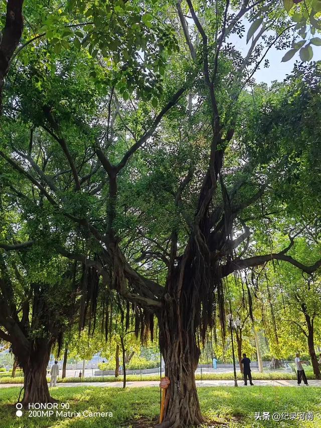 近在咫尺的河北，美在深处待探寻