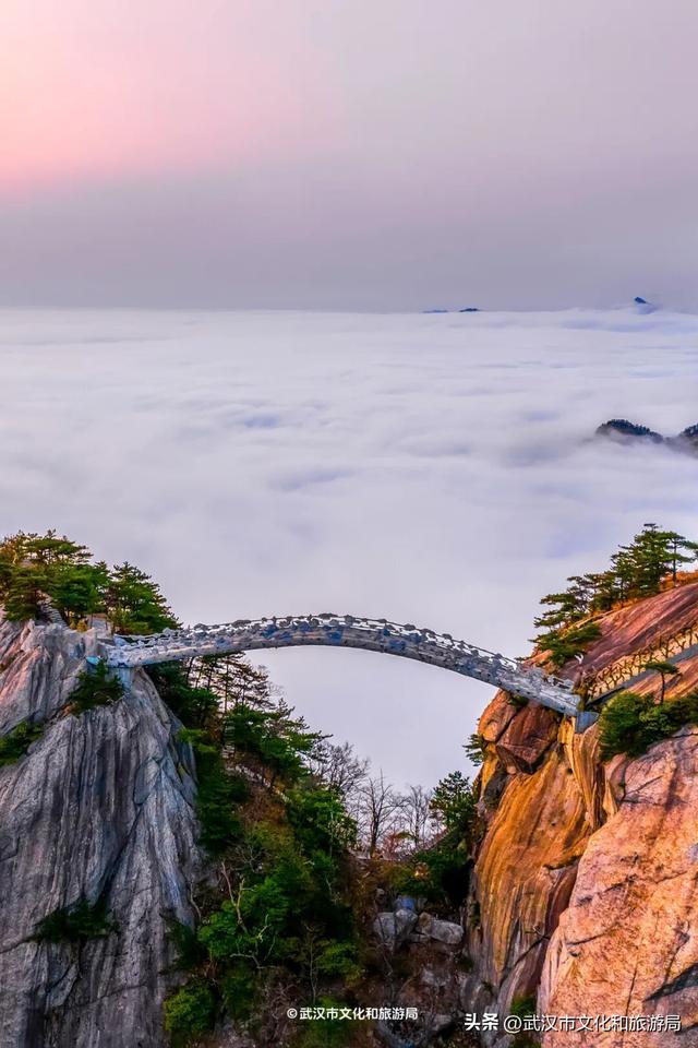 暴雨天，武汉这里排长队！