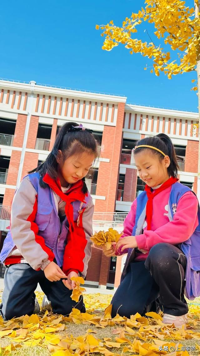 奉浦校园初冬美景大赏，你家娃的学校藏着这样的冬日浪漫