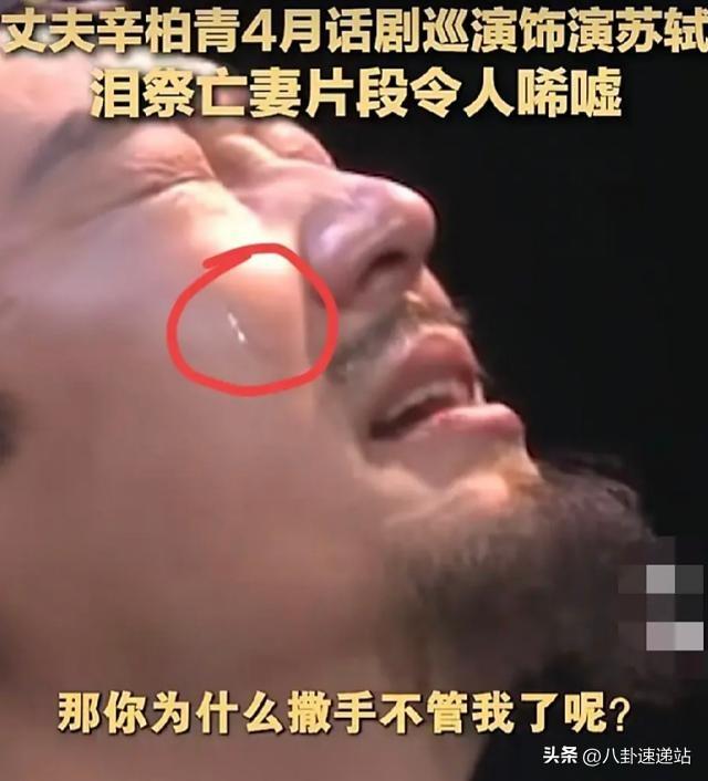 朱媛媛去世仅5月，辛柏青又传来坏消息，原来他还没走出痛苦
