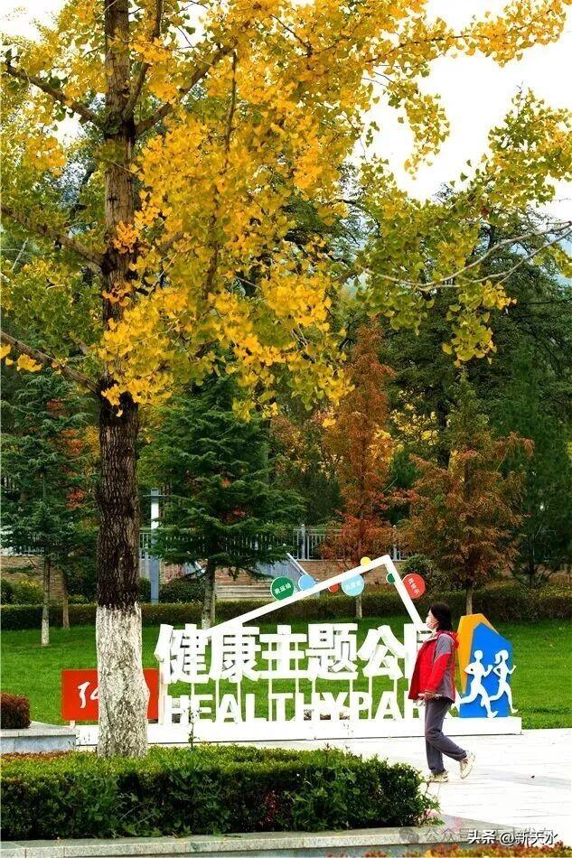 天水弘文园秋景美翻了，快去打卡！