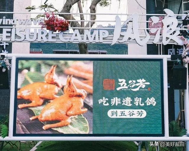 别抢迪士尼了！盐田“海洋非遗”研学开闸，名额秒没，手慢无！