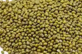 绿豆和它一起煮，湿气没了，失眠好了，通便还清肝图片