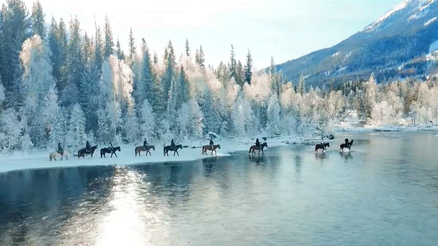 五彩斑斓喀纳斯