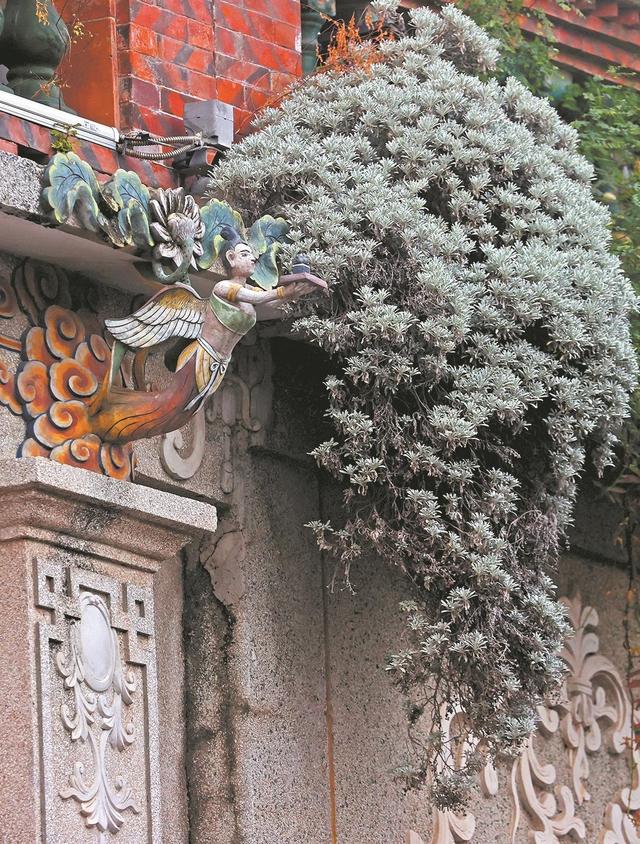 请抬头！给你好看