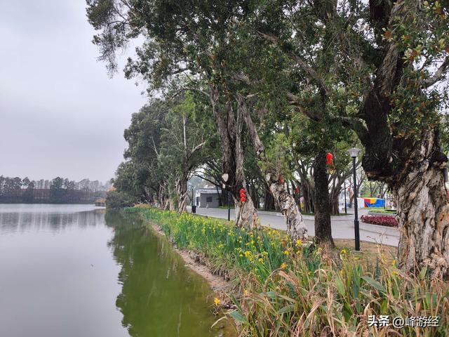 榕江西湖公园，揭阳古城的私藏秘境，曾经的西门大洲