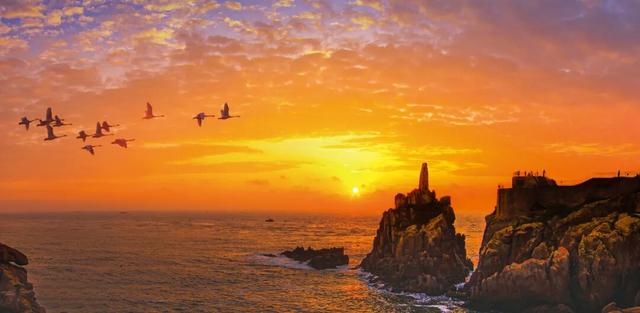 乘高铁看天鹅，还有限时景区优惠！