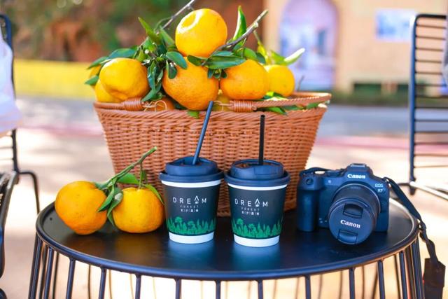 即将开幕！南安这里的芦柑，承包你的秋日甜蜜