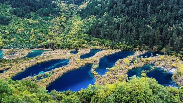 第一个发现九寨沟烤肠的人，绝对是天才