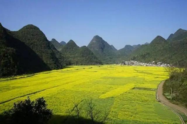 [云南 曲靖市罗平县旧屋基彝族乡]