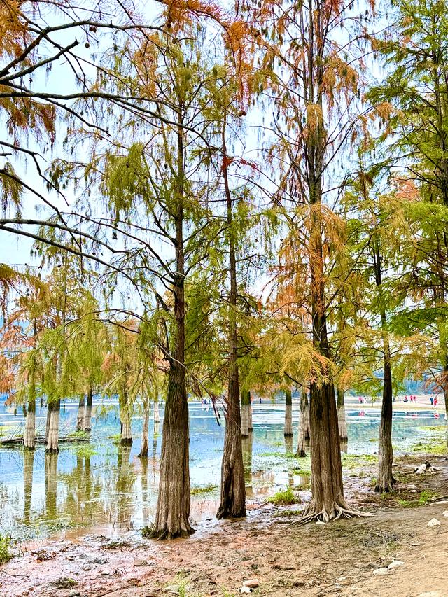 等待日出（黟县宏村镇卢村与奇墅湖）