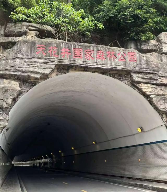 收藏！九江这些宝藏公园，承包你一整年的休闲时光