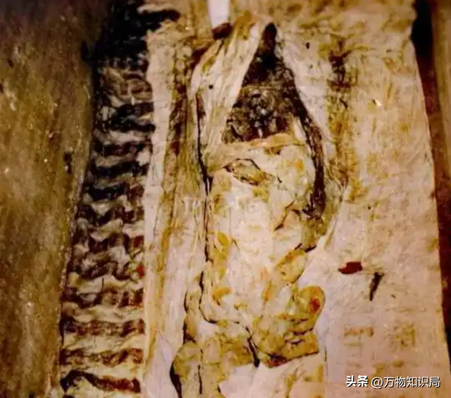 1983年慈禧墓开棺老照片：出土时全身长白毛，牙齿和指甲保存完整
