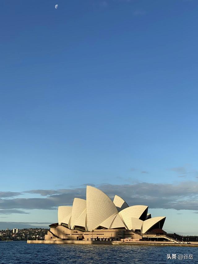 在塔斯马尼亚岛做小探险家