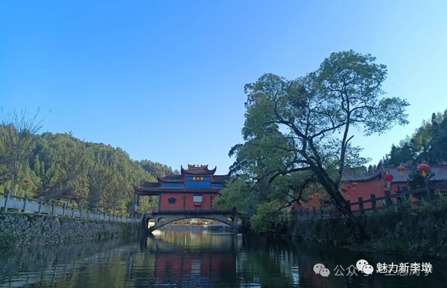 溪畔有乐、庭院有花、薯田有甜，周宁这个村把日子过成向往的模样