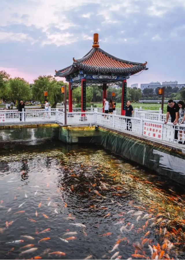 东北被低估的宝藏省会！曾是亚洲第一大城，消费却低至五线城市