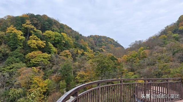 成都不远！这三个地方的红叶，美得很超过！