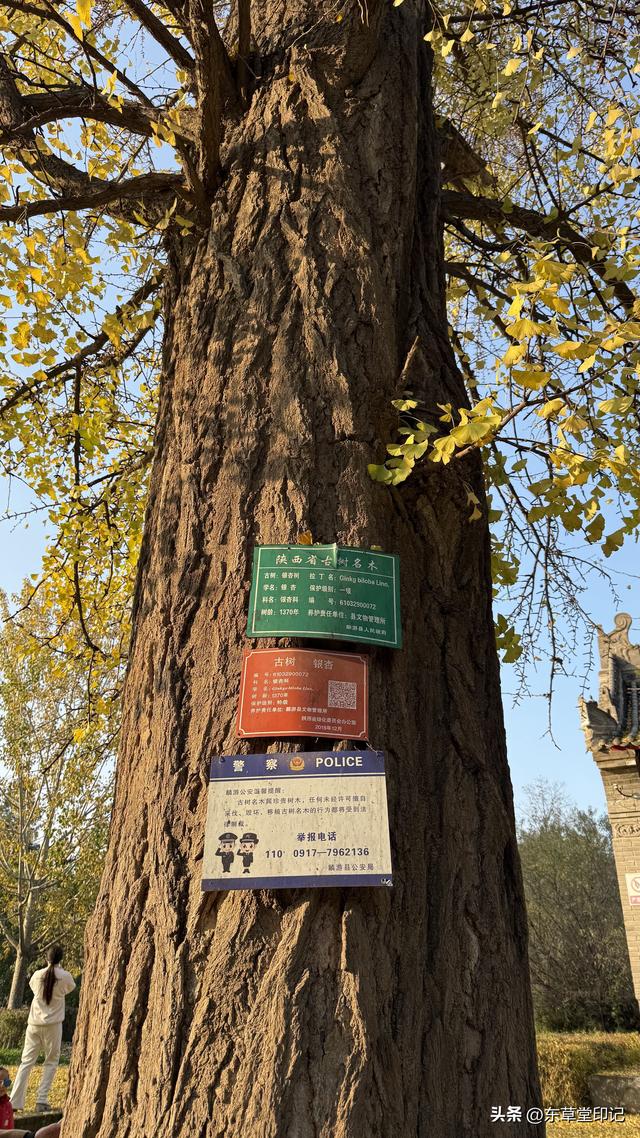 探秘麟游童山古城：千年山顶老城的前世今生与复兴密码