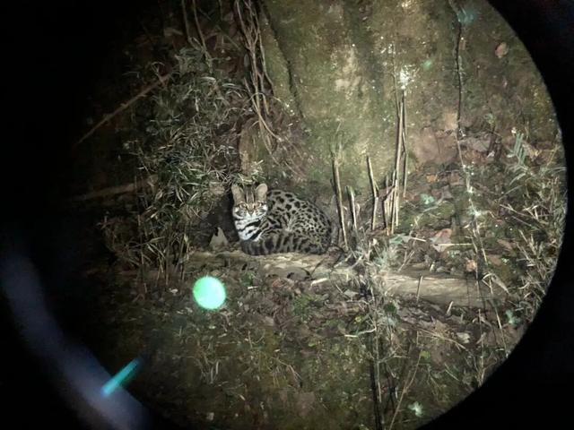 喇叭河五彩斑斓的秋天，就这样闯闯闯入视野！