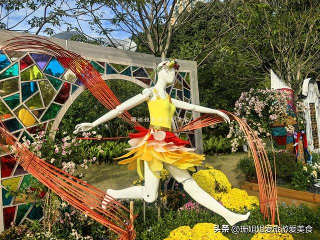 广州文化公园66届菊展，藏秋冬浪漫气息，延续全运会风情，免费