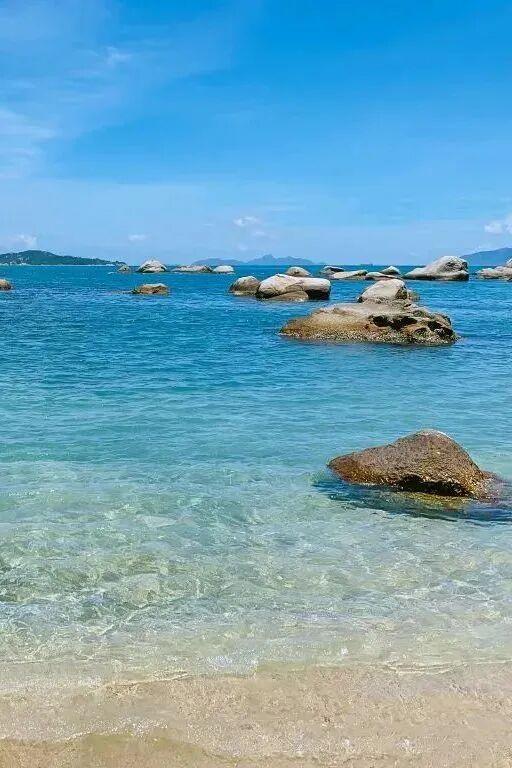 惠州进全球榜单！快来看看吧~