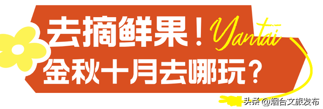 【乐游烟台】十月好去处丨别眨眼！接下来的烟台美到封神