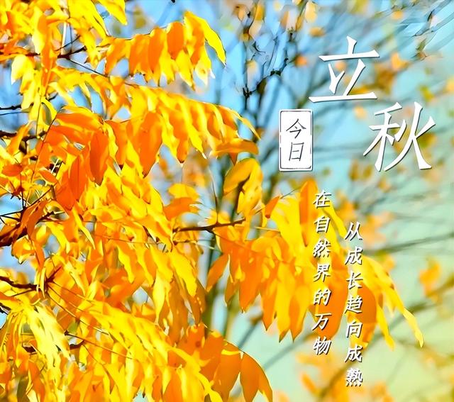 今年立秋不一般，母秋遇上晚立秋，有何预兆？做好4个准备